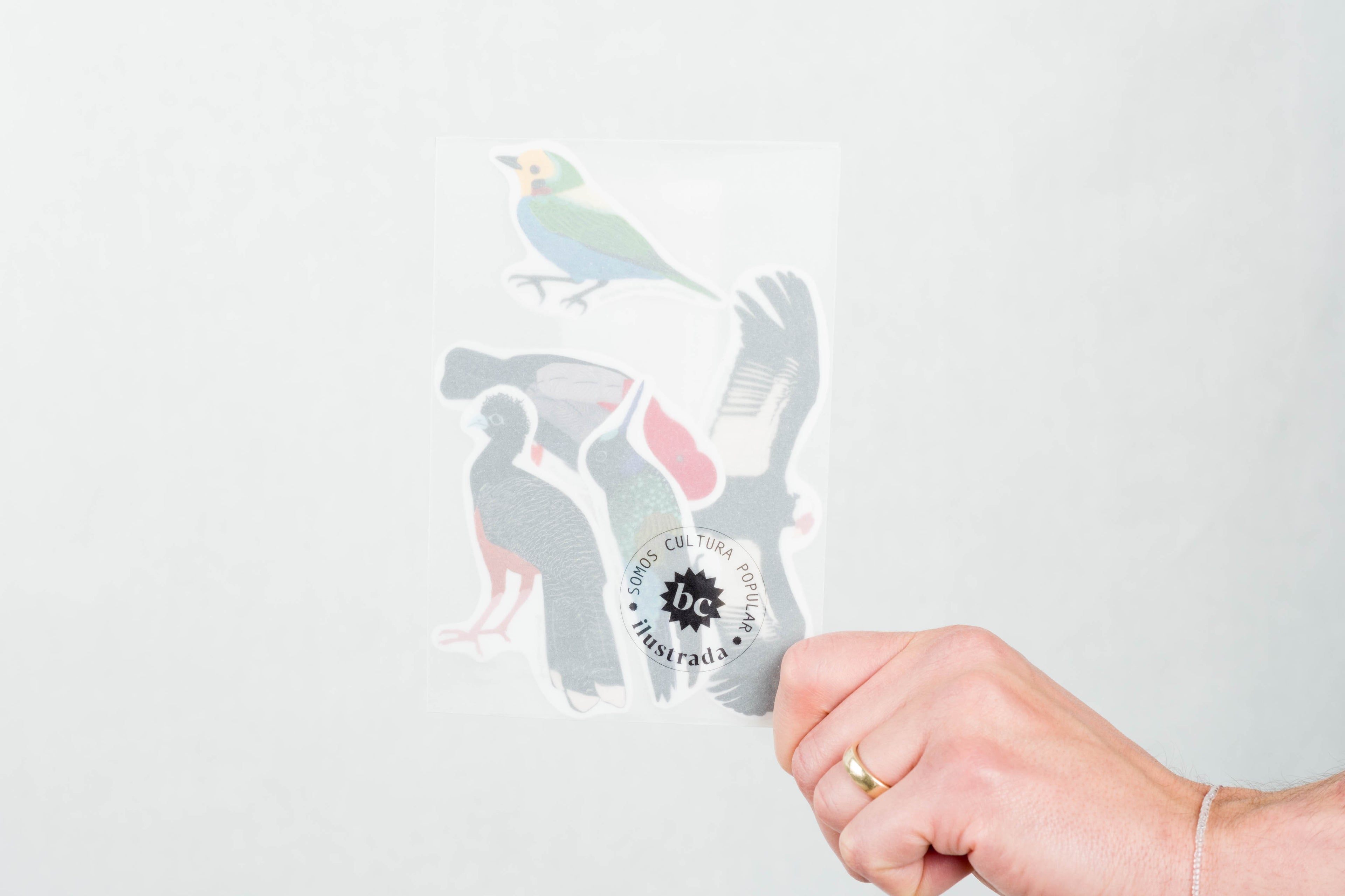 stickers Colombian birds BOGOTÁ CHIRRIADAS