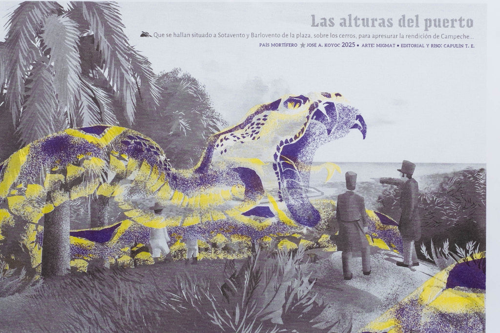 print país mortÍfero desde las alturas del puerto MIGUEL MATOS