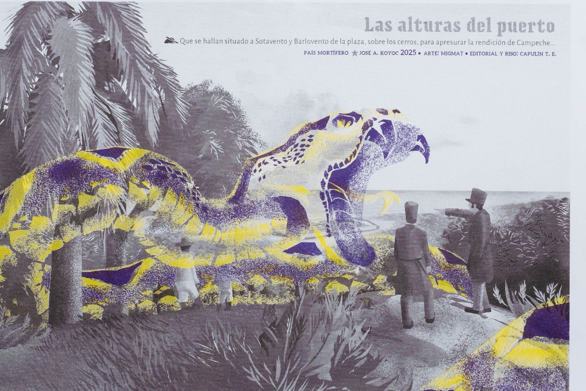 print país mortÍfero desde las alturas del puerto MIGUEL MATOS