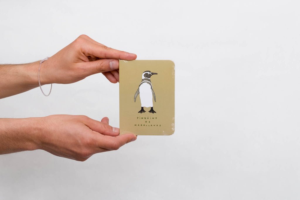 small notebook Magellanic penguin EDICIONES DE LA MONTAÑA
