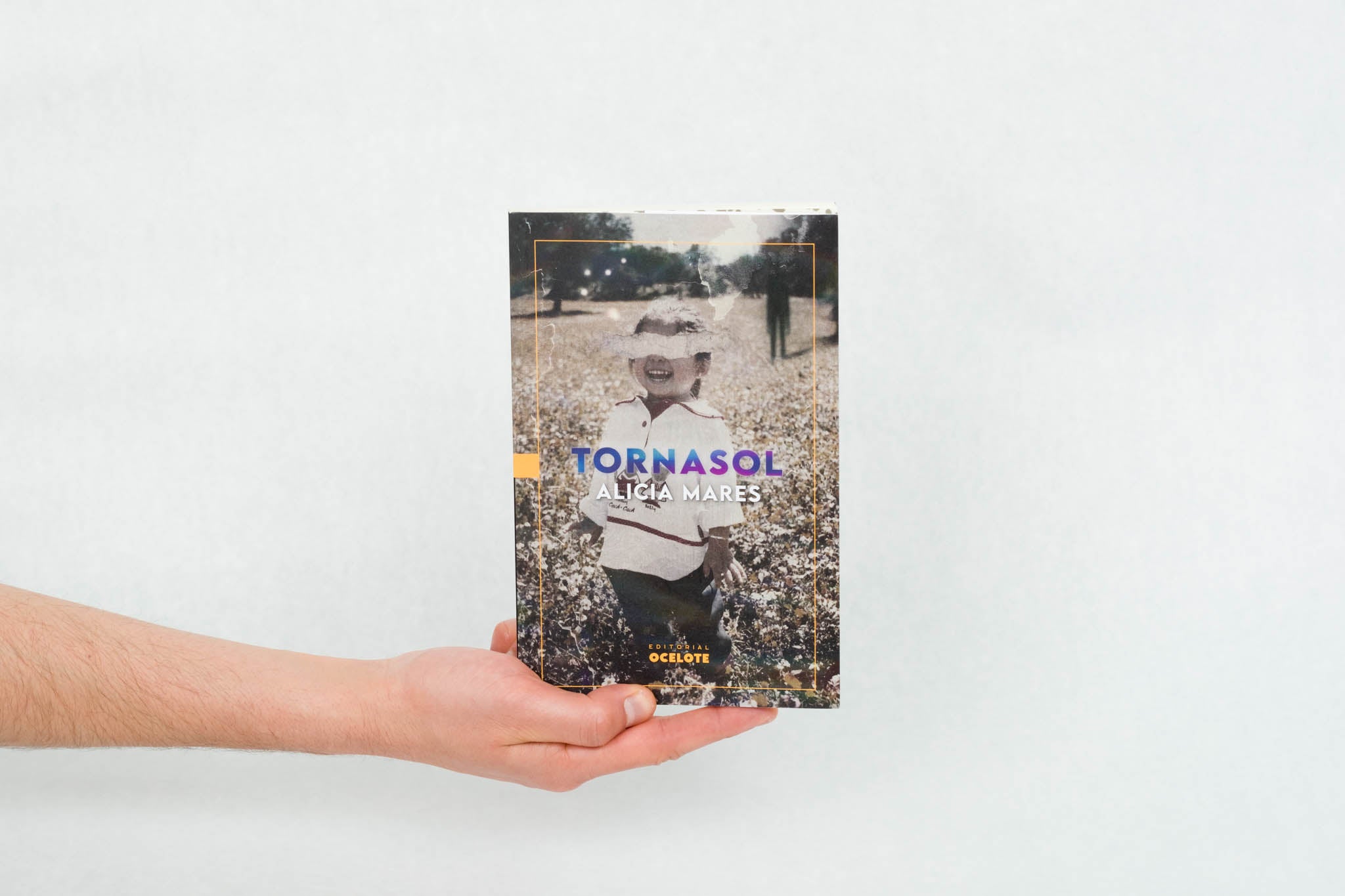 book tornasol ALICIA MARES