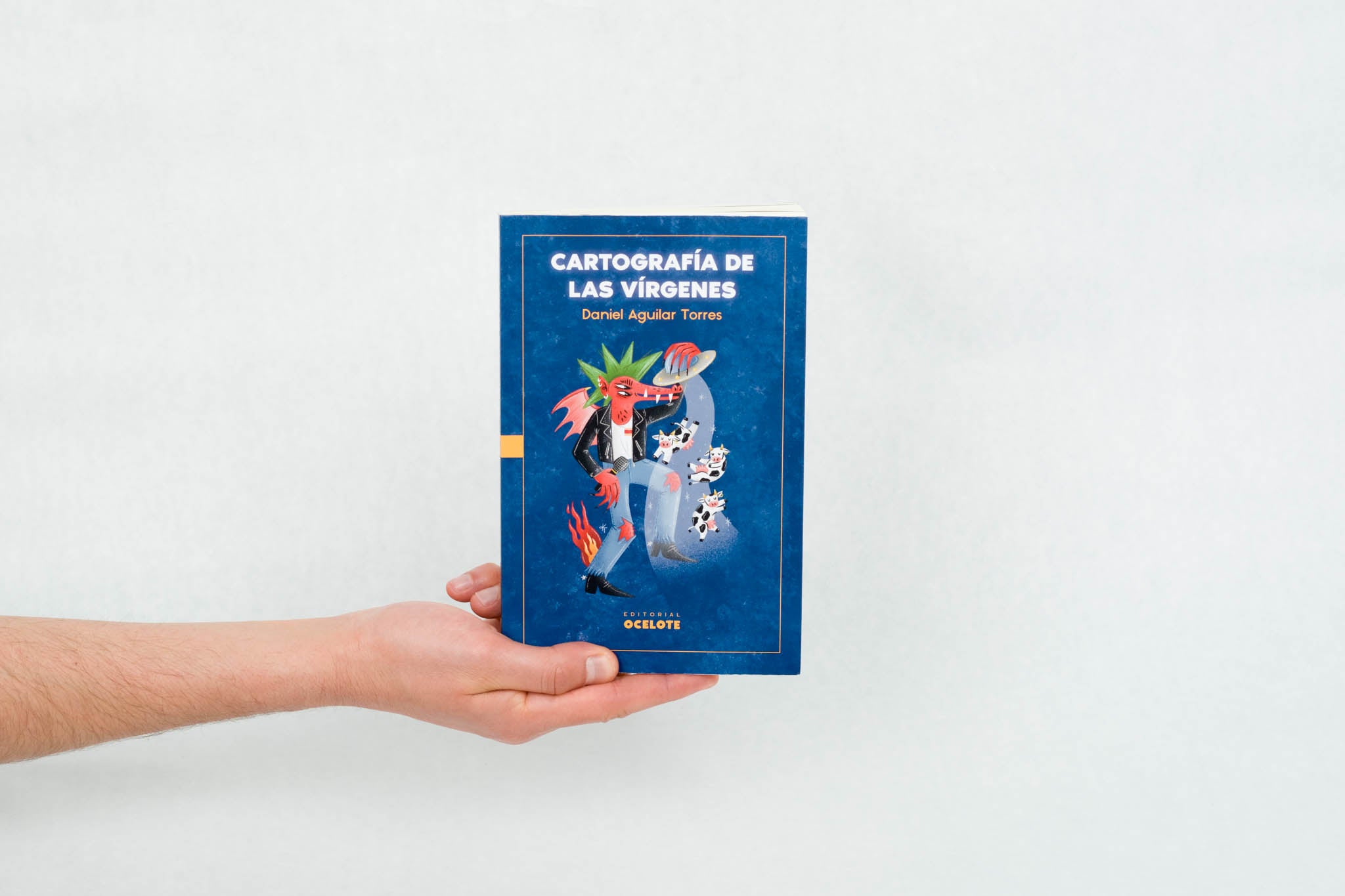 book cartografía de las vírgenes DANIEL AGUILAR TORRES