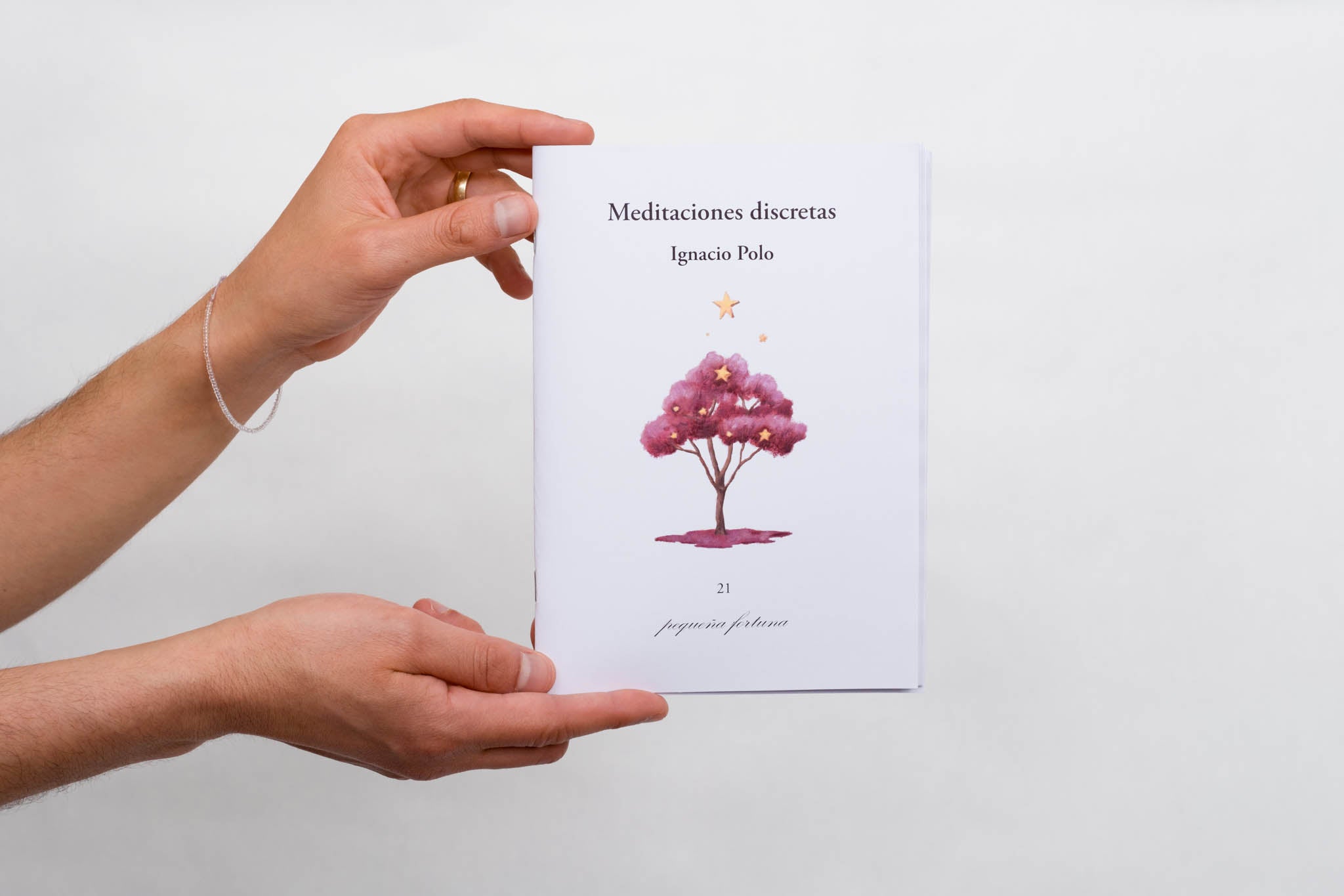 book meditaciones discretas IGNACIO POLO