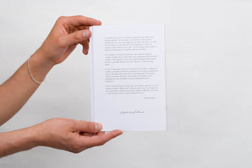 book testimonios para invocar a un viajante PATRICIO RUIZ