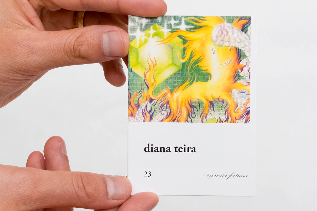 zine DIANA TEIRA 23 PEQUEÑA FORTUNA